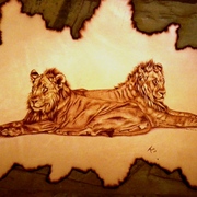 Siesta_card