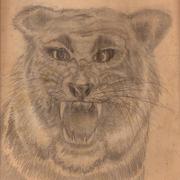Crazy_cat_001_card