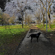 Dscn0013_card