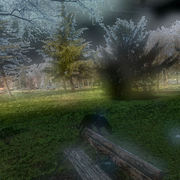Dscn0008_card