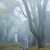 Mysterious_tiny_square