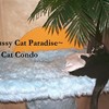 Beach_themed_cat_furniture_thumb