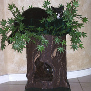 _lil_ganja__cat_tree_card