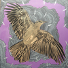 Raven_thumb