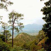 Img_1519-1_card