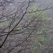 Imgp0370_card