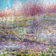 Wanaque-woods_card