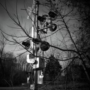Rail_road_crossing_b___w_card