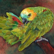Image_card