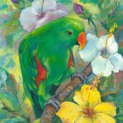 Image_card