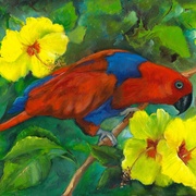Image_card