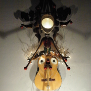 The_alien_fly_complex