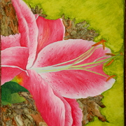 Dsc_0569_card