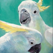 Image_card