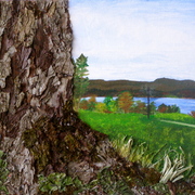 P1011527_card