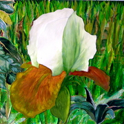 P1011514_card