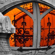 Orangeglow_card