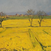 Rape-seed_pitkeirie_card