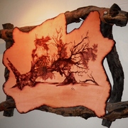 Fallen_anna_ugab_river_card
