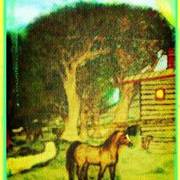 S9q7lse21890cbdbpgcg7eem5glisqsy_card
