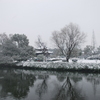 Dsc_0838_thumb