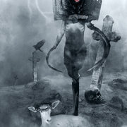 Lamb_card