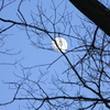 Duskmoon2_thumb