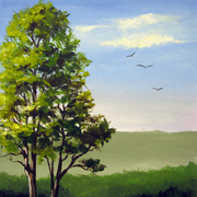 Summer_pasture_1-8-13_001_80dpi_card