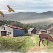 Image_card