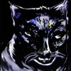Chat_veillant__320x400__thumb