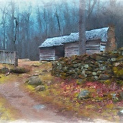 Image_card