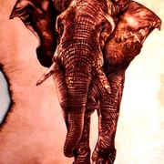 Elephant_fury_1_card