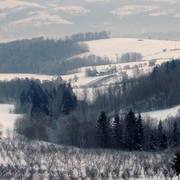 Zmiana_rozmiarudsc09870_card