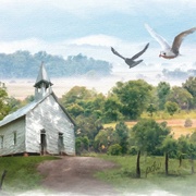 Image_card