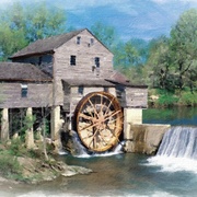 Image_card