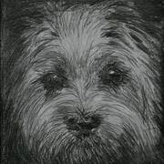 Doggy50x50_web_card