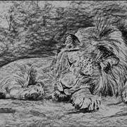 Lion60x40_web_card