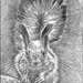 Squirell60x40_web_square