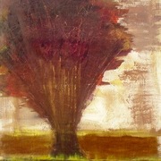 Dscf2325_card