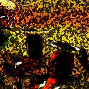 Sudan_journey_card