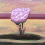 Dscf2332_card