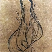 Image_card