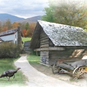 Image_card
