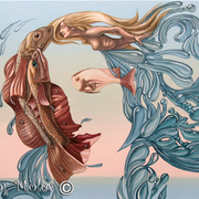 2429-venus_copy_card