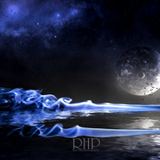 _3628rhpbp_card