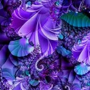 Image_card