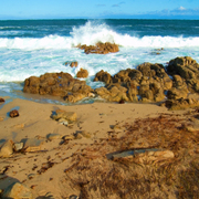 Ebb_tide_card