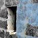 Dsc_0473_square