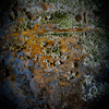 Dsc_0352_thumb
