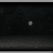 Ghosts_on_film_card